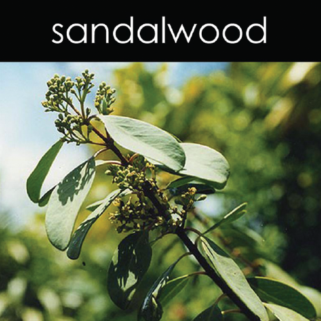 Sandalwood Candle