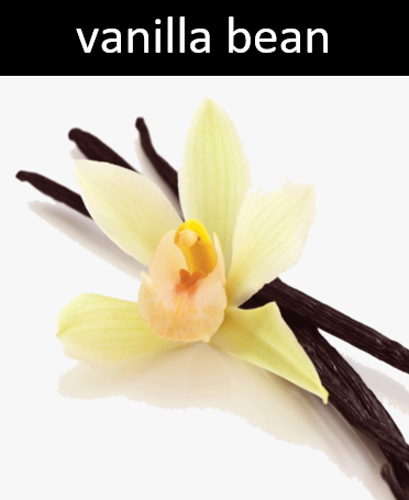 Vanilla Bean Candle