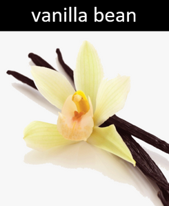 Vanilla Bean - Reed Diffuser