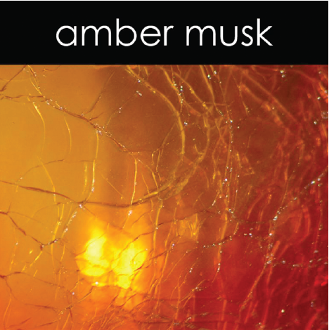 Amber Musk - Candle