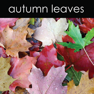 Autumn Leaves - Candle