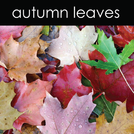 Autumn Leaves - Candle