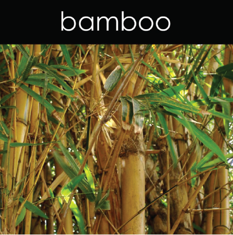 Bamboo - Candle