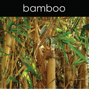 Bamboo - Reed Diffuser