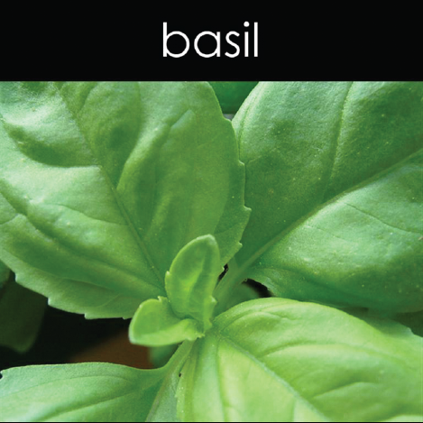 Basil - Reed Diffuser