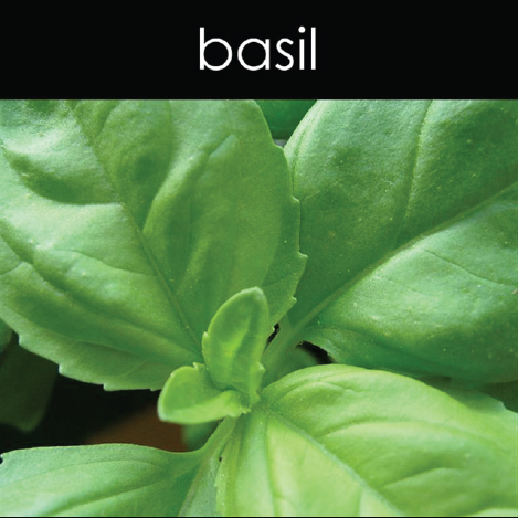 Basil - Candle