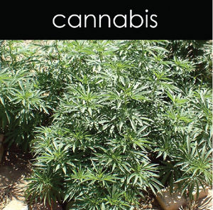 Cannabis- Reed Diffuser