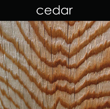 Cedar Candle