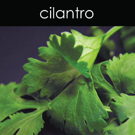 Cilantro Candle