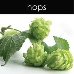 Hops Candle