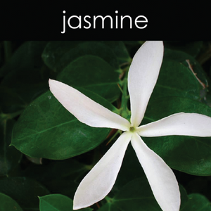 Jasmine - Reed Diffuser