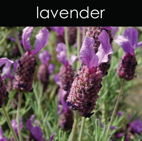 Lavender Candle