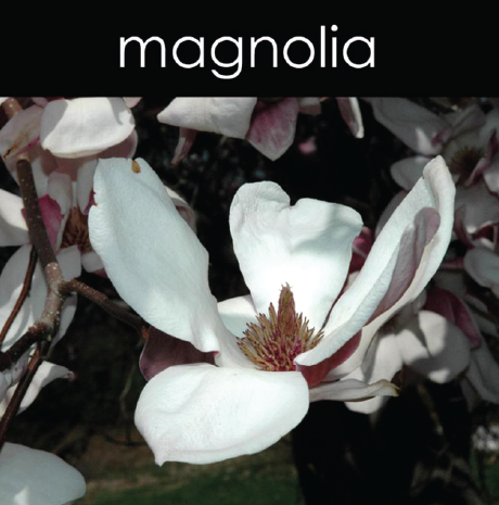 Magnolia - Reed Diffuser