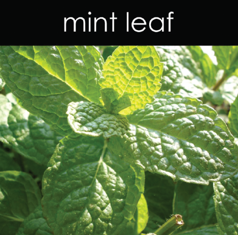 Mint Leaf Candle