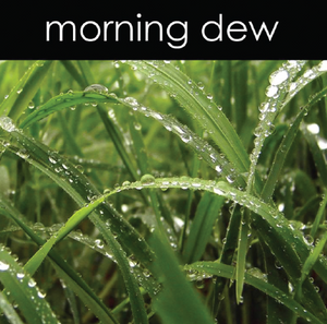 Morning Dew - Reed Diffuser