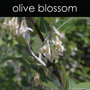 Olive Blossom Candle