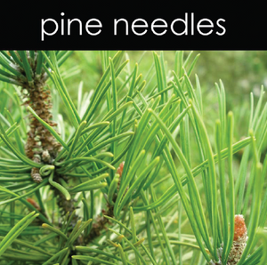 Pine Needles Candle
