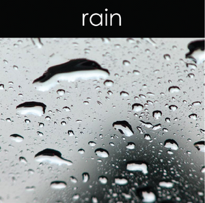 Rain - Reed Diffuser