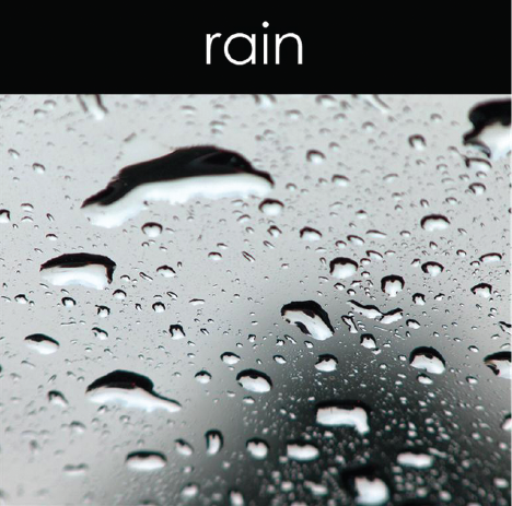 Rain - Reed Diffuser