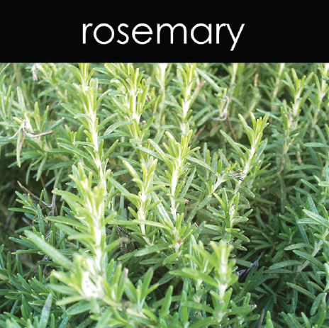 Rosemary Candle